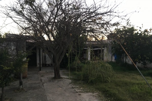Casa Calle Yapeyú 254