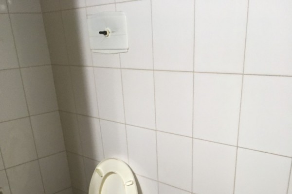 Casa Calle Falucho esquina H. Irigollen