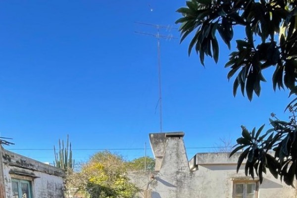 Calle Pellegrini 336