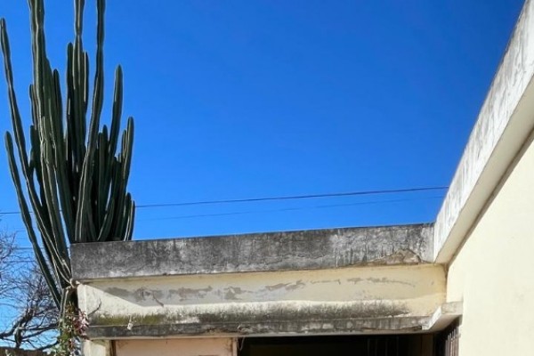 Calle Pellegrini 336
